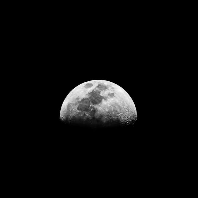 Stunning black and white photo of the half moon against a dark night sky.
